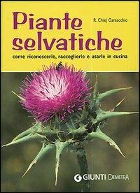 Piante selvatiche. Come riconoscerle, raccoglierle e usarle in cucina - Roberto Chiej Gamacchio - copertina