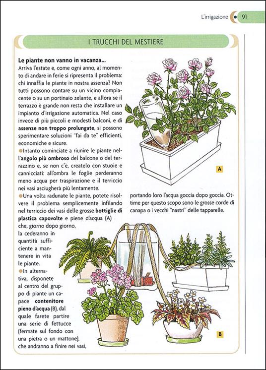 Il giardino in balconi e terrazzi - Eliana Ferioli - 2