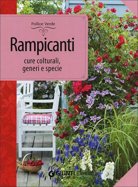 Rampicanti. Cure colturali, generi e specie - Margherita Lombardi - copertina