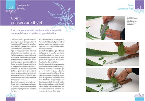 Aloe. La pianta che cura: virtù, proprietà e applicazioni terapeutiche - Liane M. Ledwon - 2