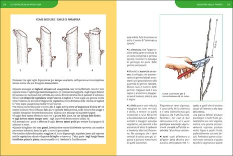 Potature e innesti per le piante da frutto - Adriano Del Fabro - 5