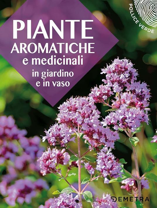 Piante aromatiche e medicinali in giardino e in vaso - copertina