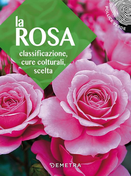 La rosa. Classificazione, cure colturali, scelta - copertina