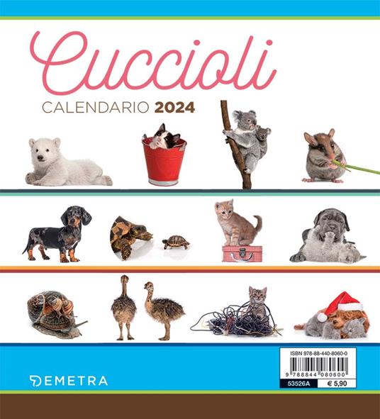 Calendario cuccioli desk 2024 - Demetra - Cartoleria e scuola