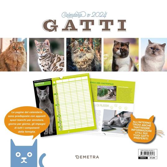 Gatti. Calendario da muro 2024 - White Star - Cartoleria e scuola