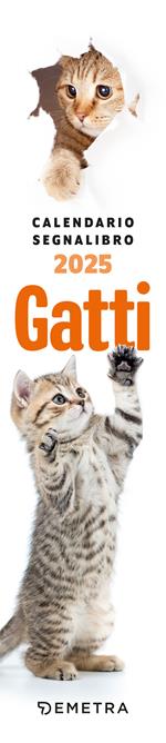 Gatti curiosi. Calendario segnalibro 2025