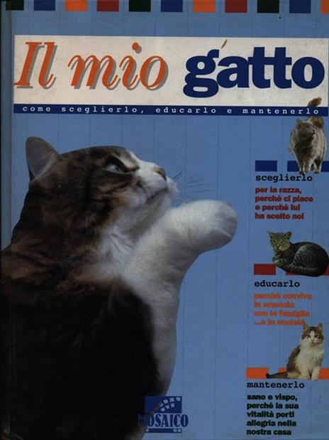 Il mio gatto - 2