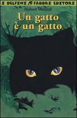 Un gatto è un gatto