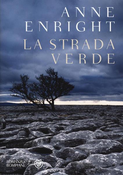 La strada verde - Anne Enright - copertina