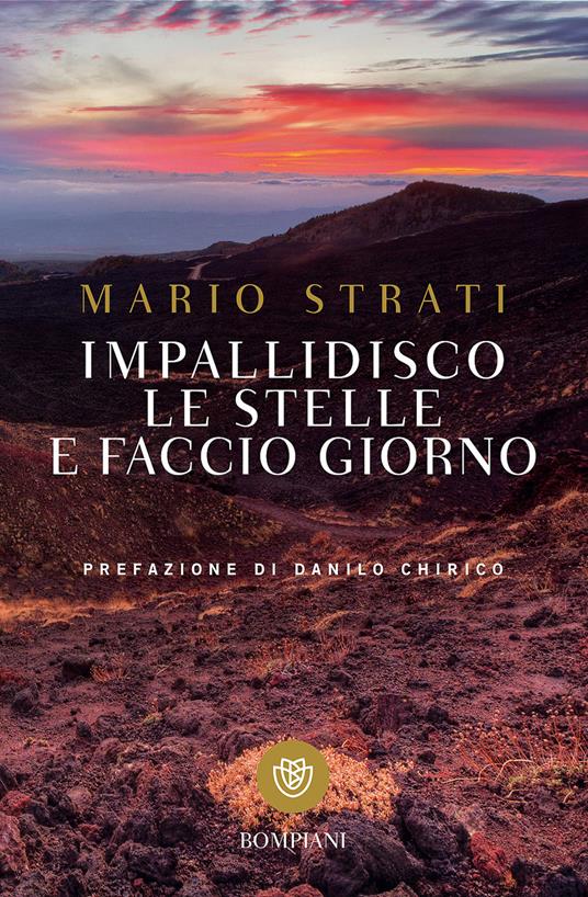 Impallidisco le stelle e faccio giorno - Mario Strati - copertina