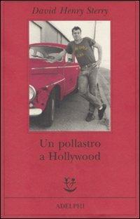 Un pollastro a Hollywood - David H. Sterry - copertina