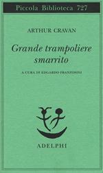 Grande trampoliere smarrito