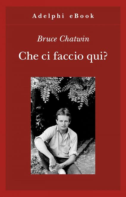 Che ci faccio qui? - Bruce Chatwin,Dario Mazzone - ebook