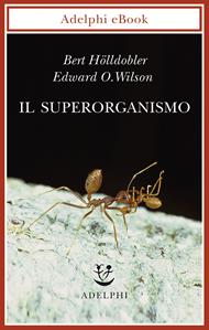 Il superorganismo