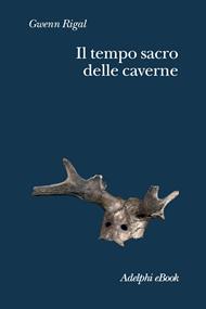 Il tempo sacro delle caverne. Da Chauvet a Lascaux, le ipotesi della scienza