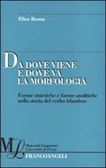 Da dove viene e dove va la morfologia. Forme sintetiche e forme analitiche nella storia del verbo irlandese