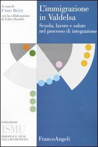 L' immigrazione in Valdelsa. Scuola, lavoro e salute nel processo di integrazione - copertina