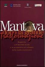 Mantova dopo la grande trasformazione. Rapporto sull'identità locale e la prospettiva di sviluppo della realtà mantovana