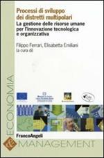 Processi di sviluppo dei distretti multipolari. La gestione delle risorse umane per l'innovazione tecnologica e organizzativa