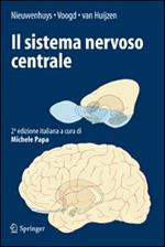 Il sistema nervoso centrale