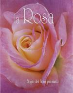 La rosa. Ediz. illustrata