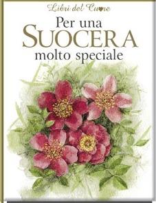 Per una suocera molto speciale. Ediz. illustrata - Pam Brown - copertina