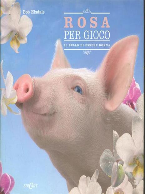 Rosa per gioco - copertina