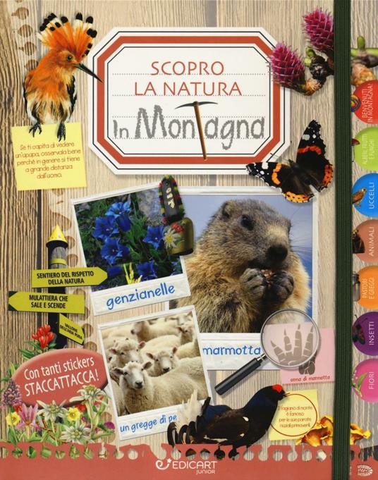 In montagna. Scopro la natura. Con adesivi. Ediz. illustrata - copertina