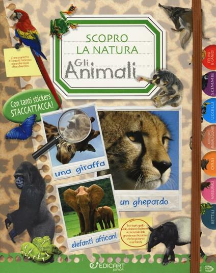 Un mondo di animali. Scopro la natura. Con adesivi. Ediz. illustrata - copertina