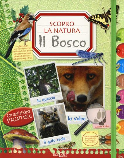 Il bosco. Scopro la natura. Con adesivi - copertina