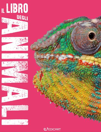 Il libro degli animali. Scoprimondo. Ediz. a colori - copertina