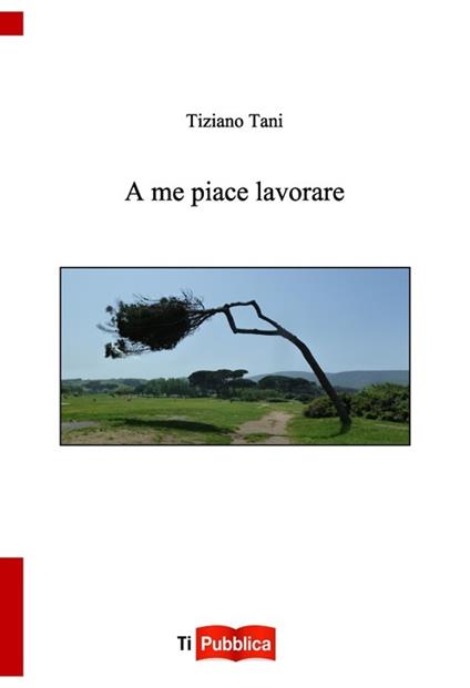 A me piace lavorare - Tiziano Tani - copertina