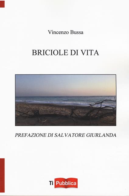 Briciole di vita - Vincenzo Bussa - copertina