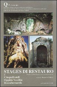 Stages di restauro. Quaderno. Vol. 3 - Simonetta Valtieri - copertina