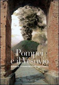 Pompei e il Vesuvio. Scienza, conoscenza ed esperienza. Ediz. illustrata - copertina