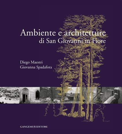 Ambiente e architetture di San Giovanni in Fiore - Diego Maestri,Giovanna Spadafora - ebook