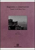 Diagnostica e conservazione. L'insula 14 del rione Terra
