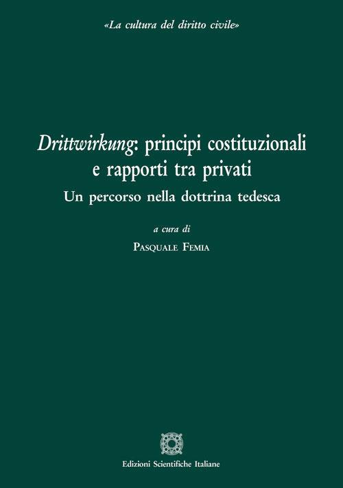 Drittwirkung: principi costituzionali e rapporti tra privati. Un percorso nella dottrina tedesca - copertina