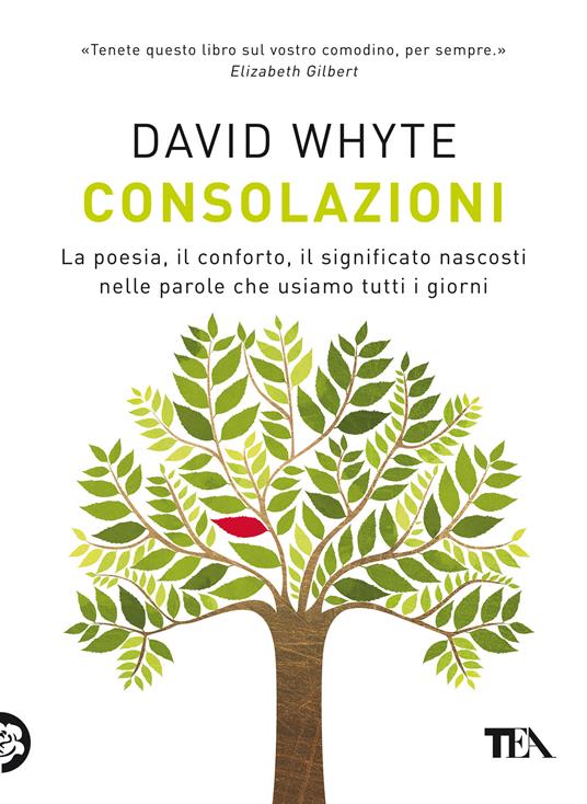 Consolazioni. La poesia, il conforto, il significato nascosti nelle parole che usiamo tutti i giorni - David Whyte - copertina