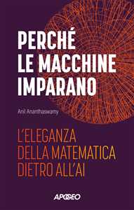 Libro Perché le macchine imparano. L'eleganza della matematica dietro all'AI Anil Ananthaswamy