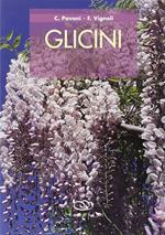 Glicini