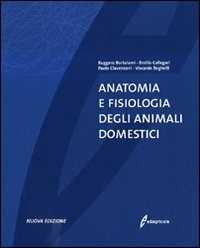  Anatomia e fisiolog… - image