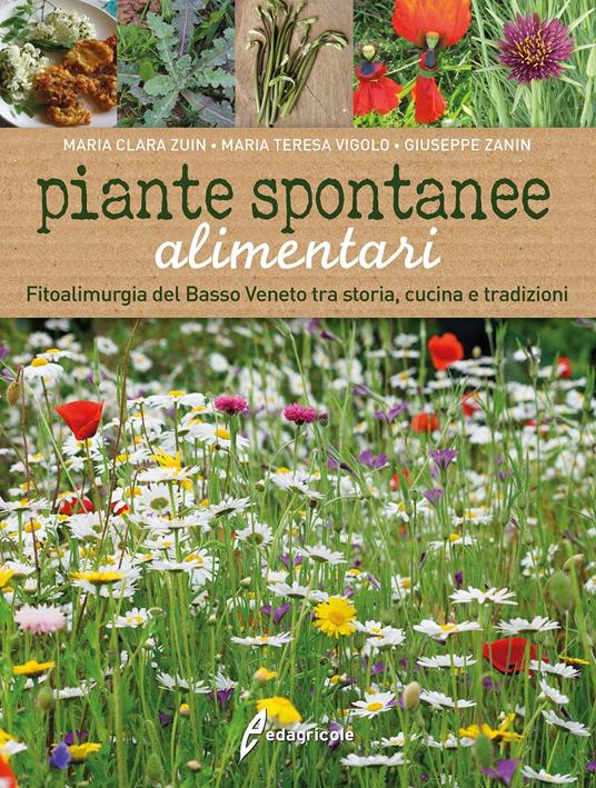 Piante spontanee alimentari. Fitoalimurgia del basso Veneto tra storia, cucina e tradizioni - Maria C. Zuin,M. Teresa Vigolo,Giuseppe Zanin - copertina