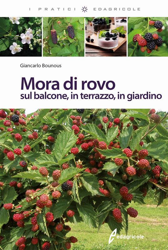 Mora di rovo sul balcone, in terrazzo, in giardino - Giancarlo Bounous - copertina