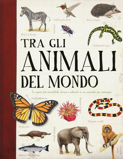 Tra gli animali del mondo - copertina