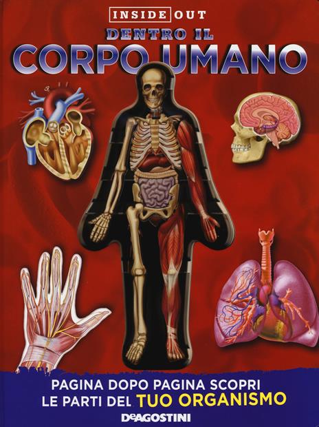 Dentro il corpo umano. Ediz. a colori - Luann Colombo - copertina