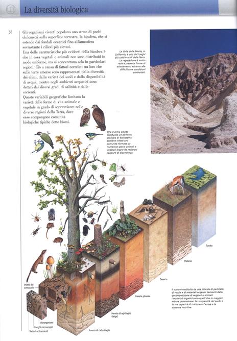 Atlante geografico De Agostini - 3