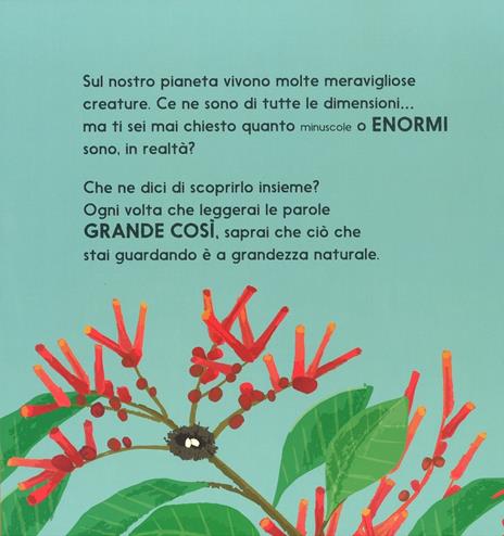 Grande così. Animali a grandezza naturale. Ediz. a colori - Sphie Henn - 4