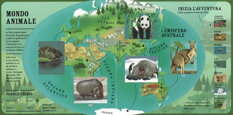 Il grande libro pop-up degli animali - Hannah Pang - 3