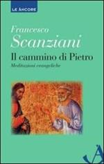 Il cammino di Pietro. Meditazioni evangeliche